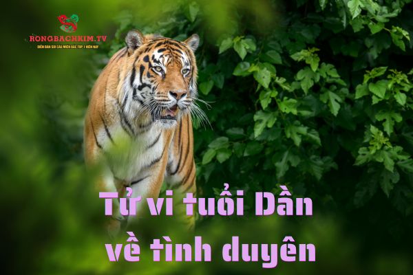 tử vi tuổi Dần