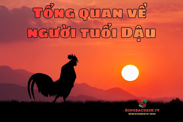 tử vi tuổi Dậu