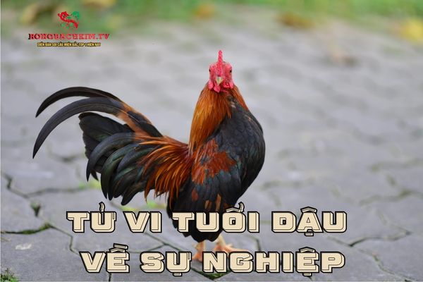 Công danh của người tuổi Dậu thường được xây dựng bằng sự nỗ lực