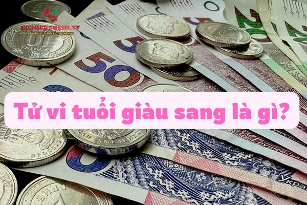 tử vi tuổi giàu sang