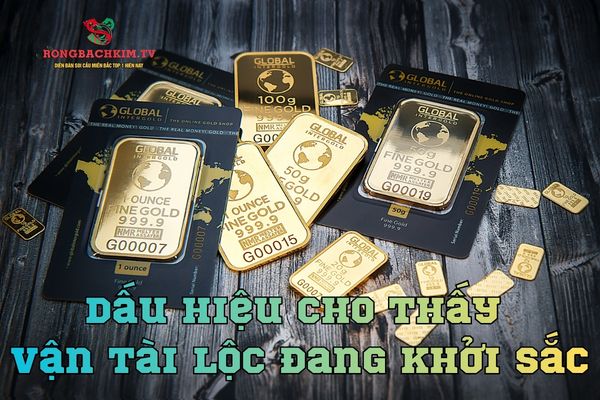 tử vi tuổi giàu sang