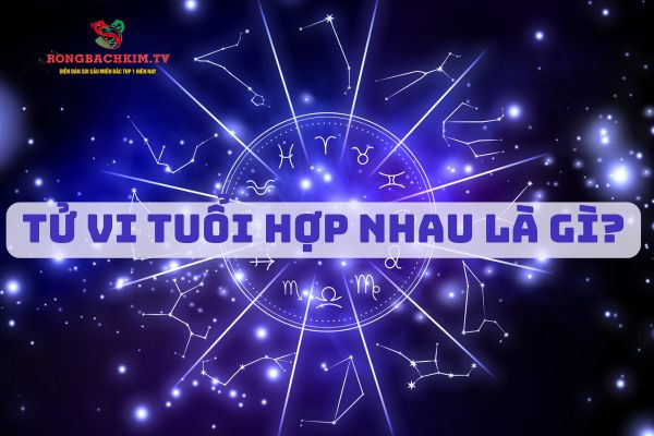 tử vi tuổi hợp nhau