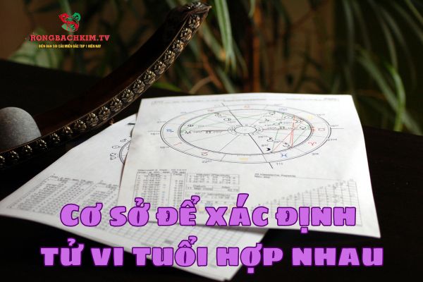 Xem tử vi hợp tuổi nhau dựa trên nhiều cơ sở