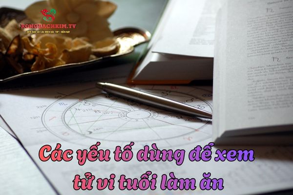 Những yếu tố dùng để xem tử vi tuổi làm ăn