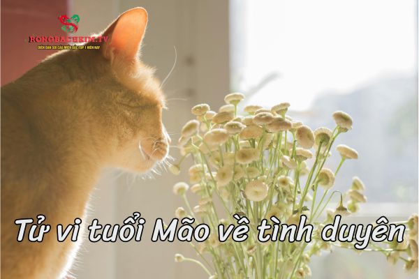 tử vi tuổi Mão