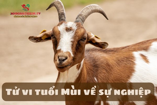 Sự nghiệp của người tuổi Mùi không quá nhanh nhưng bền vững