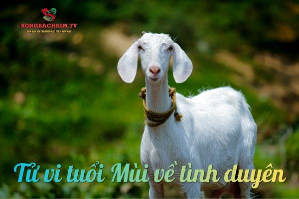 tử vi tuổi Mùi