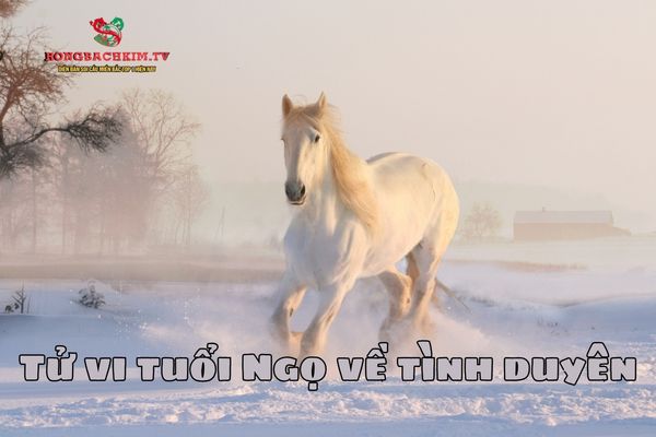 tử vi tuổi Ngọ