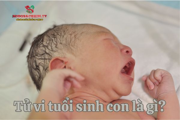 tử vi tuổi sinh con