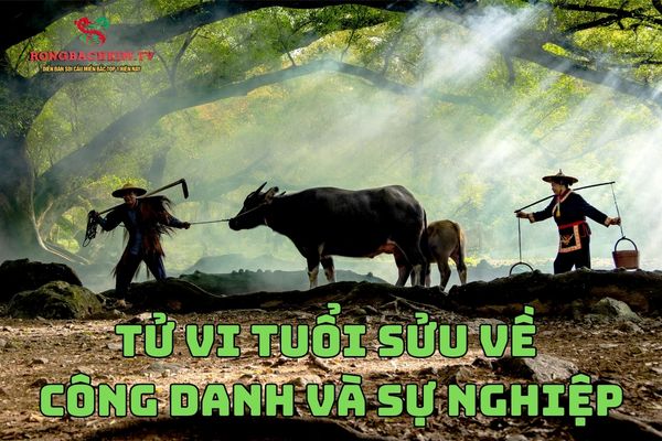 Sự nghiệp là lĩnh vực mà tuổi Sửu có nhiều cơ hội phát triển