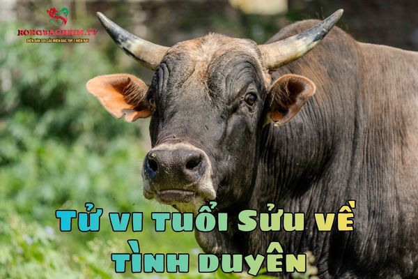 tử vi tuổi Sửu
