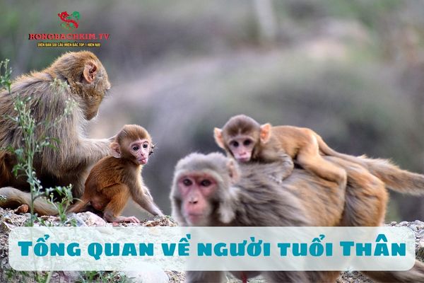 tử vi tuổi Thân