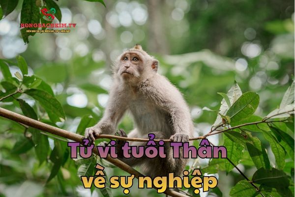 Sự nghiệp của người tuổi Thân khá rộng mở