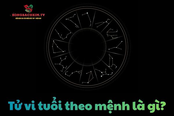 tử vi tuổi theo mệnh