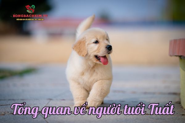 tử vi tuổi Tuất
