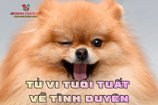 tử vi tuổi Tuất