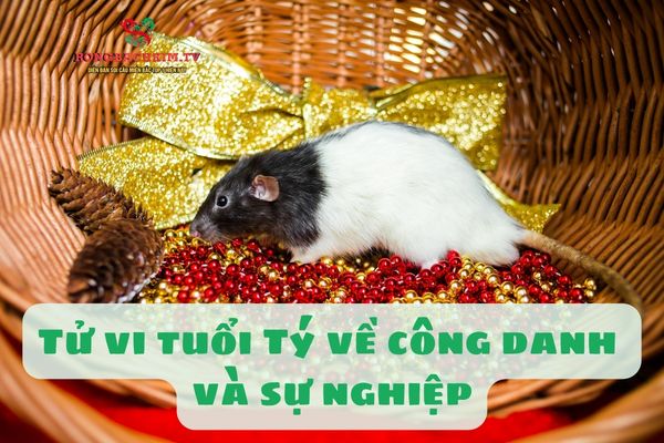 Người tuổi Tý thường đạt được nhiều thành công trong công việc
