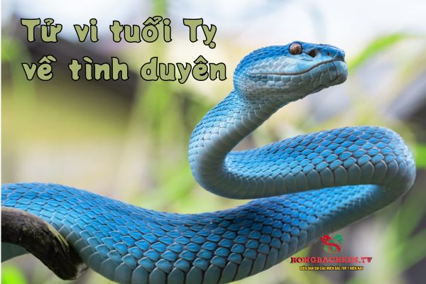 tử vi tuổi Tỵ