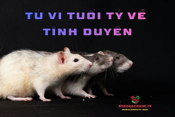 tử vi tuổi Tý