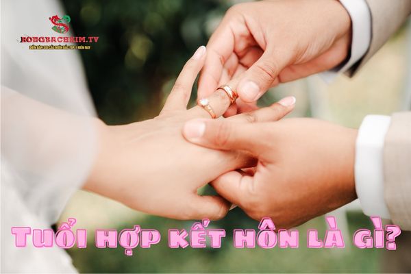 tuổi hợp kết hôn