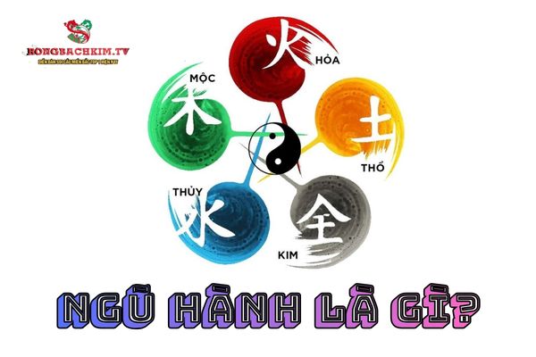 ứng dụng ngũ hành trong đời sống