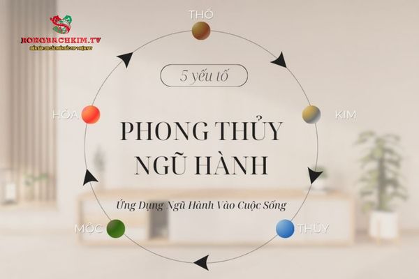 Ngũ hành được ứng dụng đa dạng vào cuộc sống hàng ngày