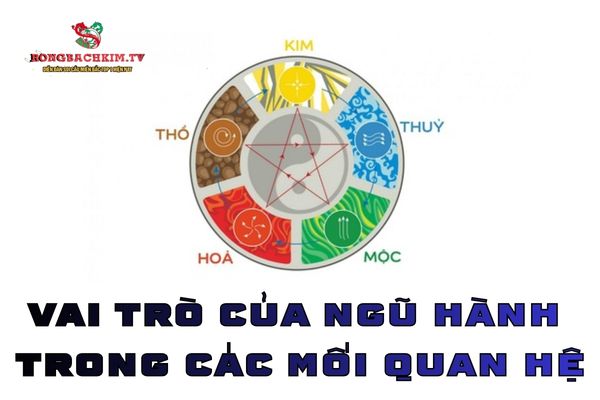 ứng dụng ngũ hành trong đời sống