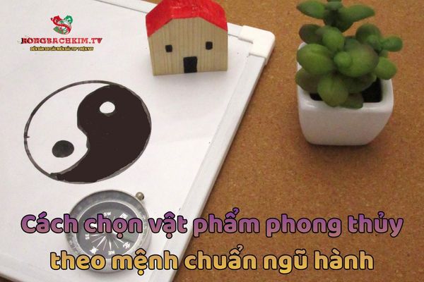 Chi tiết cách chọn vật phẩm phong thủy theo ngũ hành