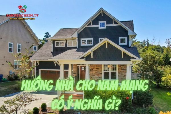 hướng nhà cho nam mạng