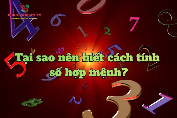 cách tính số hợp mệnh