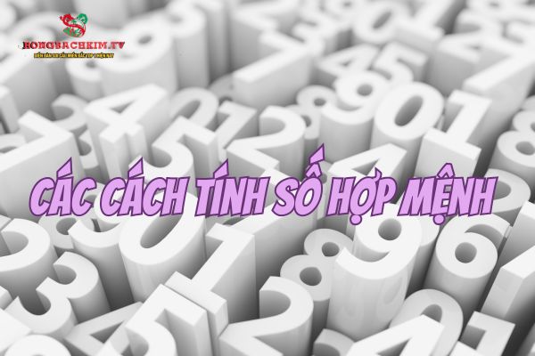 Tham khảo hai phương pháp tính toán số hợp mệnh chuẩn xác