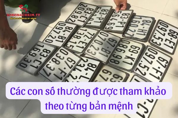 Những biển số xe thường được tham khảo dựa vào từng bản mệnh