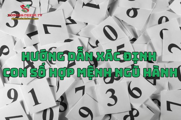 Hướng dẫn chi tiết cách xác định con số hợp mệnh ngũ hành