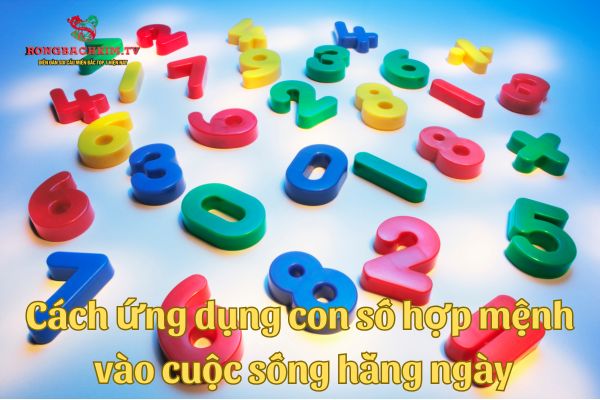 con số hợp mệnh ngũ hành