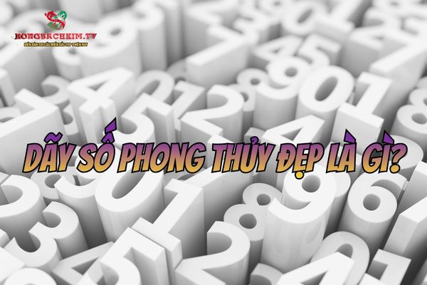 dãy số phong thủy đẹp