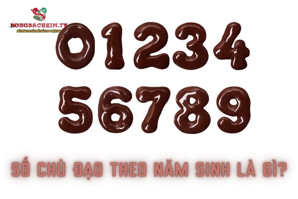 số chủ đạo theo năm sinh