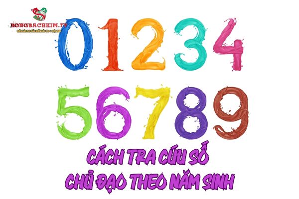 Hướng dẫn cách tra cứu số chủ đạo dựa vào năm sinh