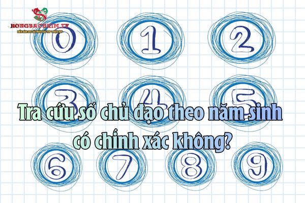 số chủ đạo theo năm sinh