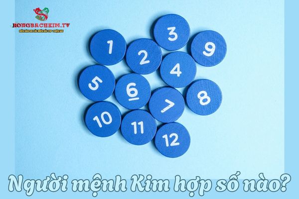 Những con số hợp với người mệnh Kim