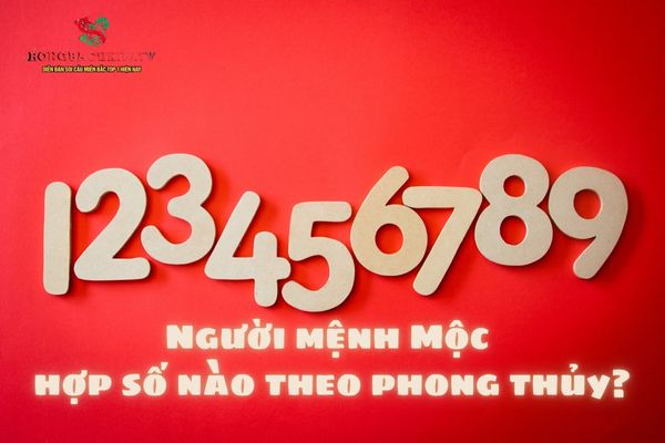 số hợp mệnh mộc