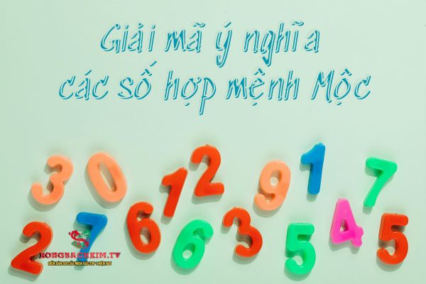 Giải mã chi tiết về ý nghĩa những con số hợp mệnh Mộc