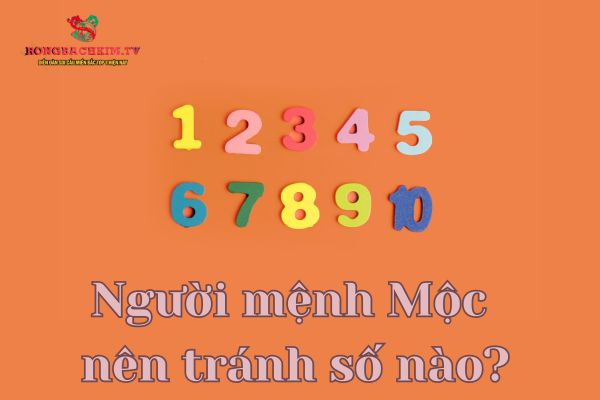 số hợp mệnh mộc