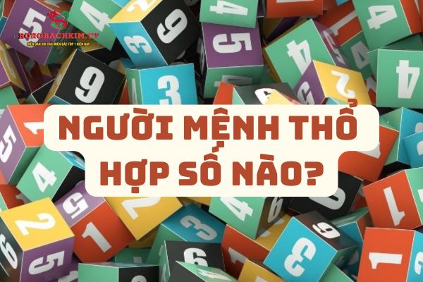 số hợp mệnh thổ