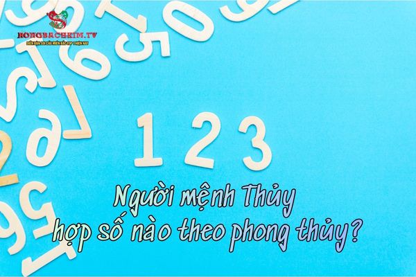 số hợp mệnh thủy