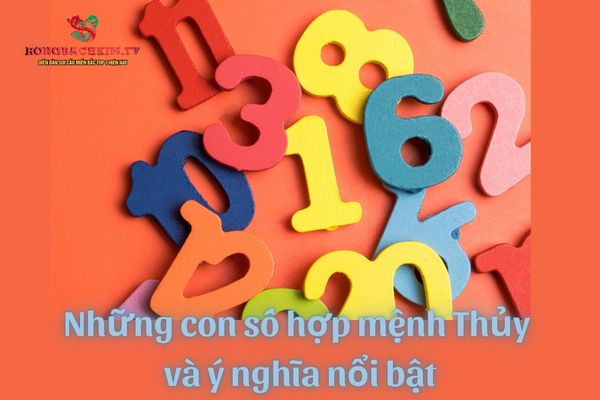 Mỗi con số hợp với người mệnh Thuỷ đều mang đến những ý nghĩa 