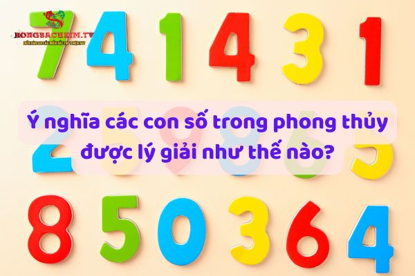 ý nghĩa các con số trong phong thủy