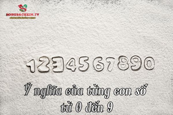 Xem ý nghĩa chi tiết của từng con số từ 0 đến 9